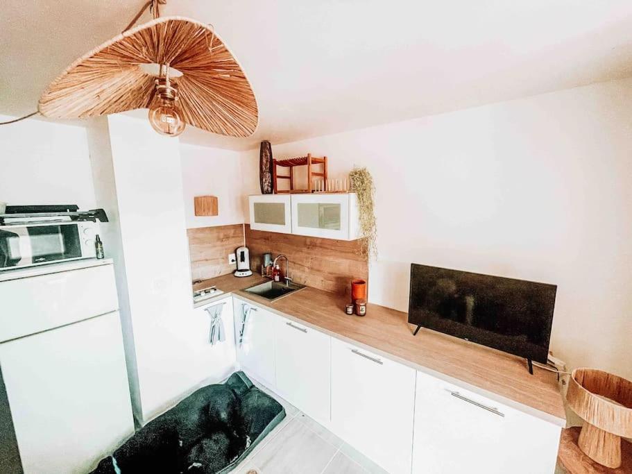 La Casita ,Appartement Face A L'Etang Le Barcarès Kültér fotó