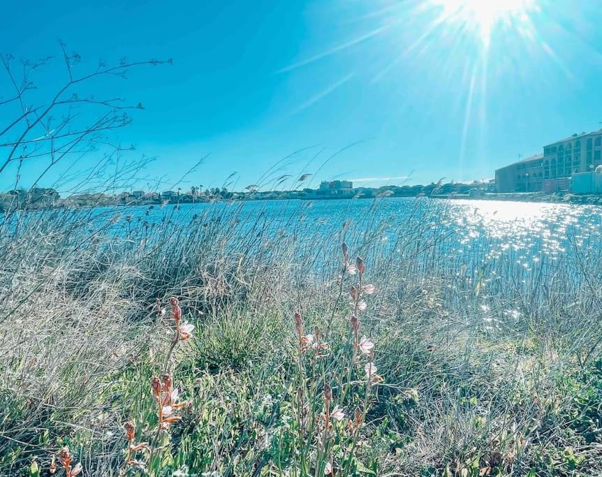La Casita ,Appartement Face A L'Etang Le Barcarès Kültér fotó